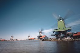 Karpervissen in Zaandam