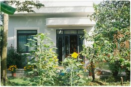 Steeds meer mensen kiezen voor een groene tuin