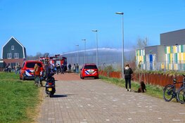 Riet in brand aan Kamgras in Assendelft