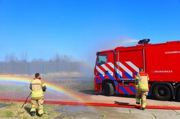 Riet in brand aan Kamgras in Assendelft