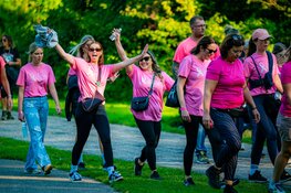 Pink Ribbon Dam tot Dam Wandeltocht binnen een week ruim 4.000 inschrijvingen