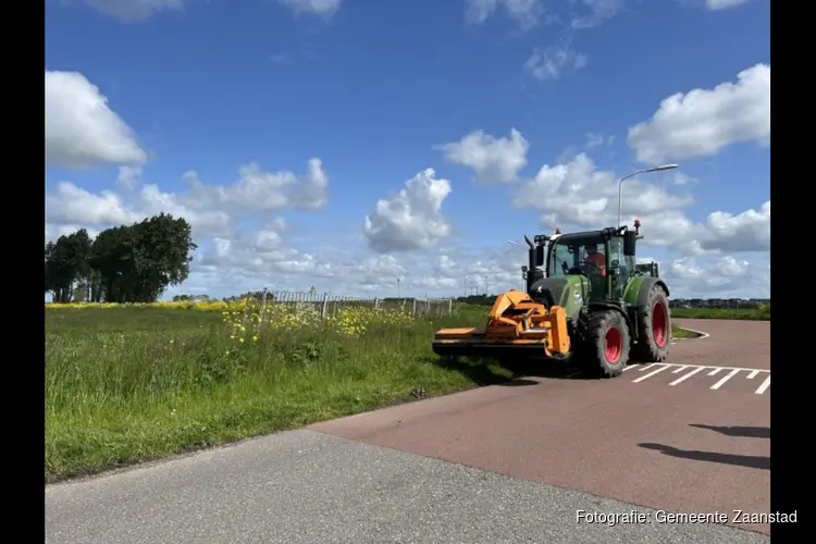 De gemeente maait in mei niet veel, maar soms wel