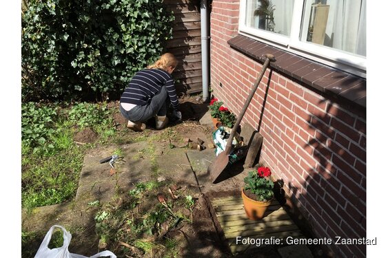 Vraag aan: Gratis tuinadvies van een Zaanse Tuinranger