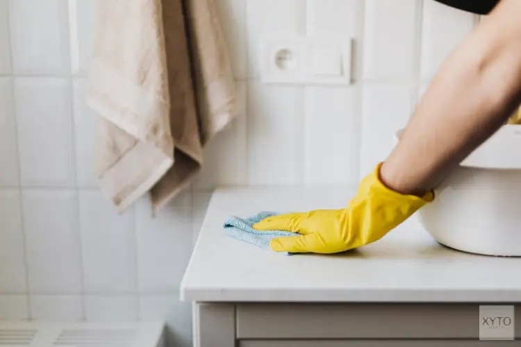 Van vuil naar vlekkeloos: wat een schoonmaakbedrijf in Zaandam voor je oplost
