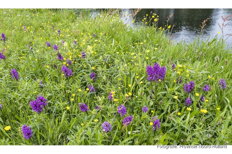 Provincie Noord-Holland legt natuur aan in Noorderveen/Assendelft