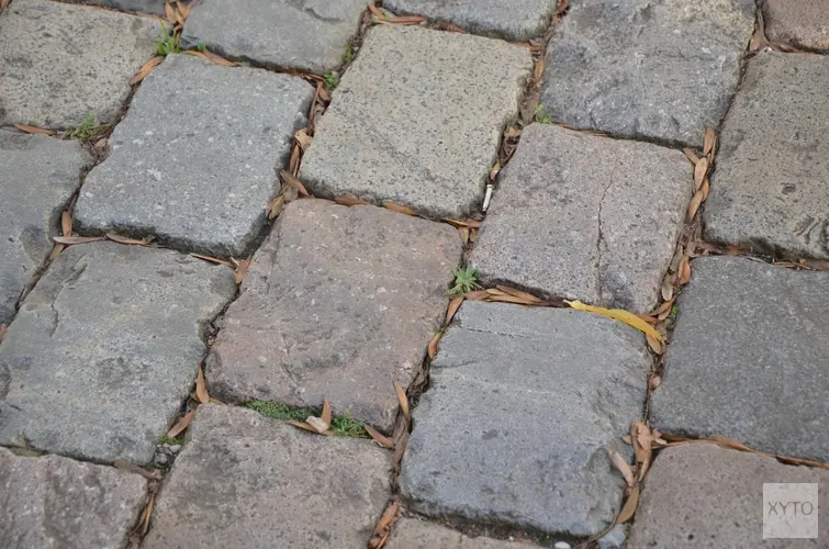 De moderne Nederlandse tuin: duurzame keuzes voor bestrating