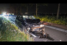 Auto total loss na botsing met ontsnapte koeien