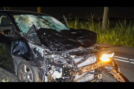Auto total loss na botsing met ontsnapte koeien