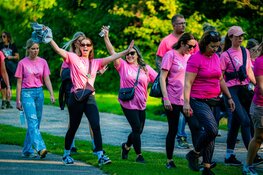 Inschrijving Pink Ribbon Dam tot Dam Wandeltocht sluit bijna