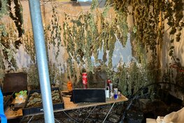 Pandsluitingen in Zaandam na drugsvondsten