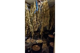 Pandsluitingen in Zaandam na drugsvondsten