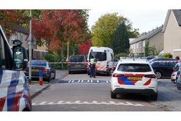 Verdachte aangehouden na dodelijk steekincident Pinasstraat