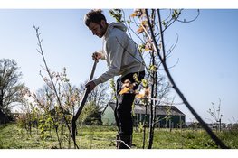 100 initiatieven voor een groenere provincie