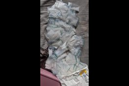 Drugs en illegale bewoning aangetroffen bij controle bedrijventerrein Wormerveer