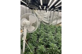 Woning in Zaandam gesloten na aantreffen wietkwekerij