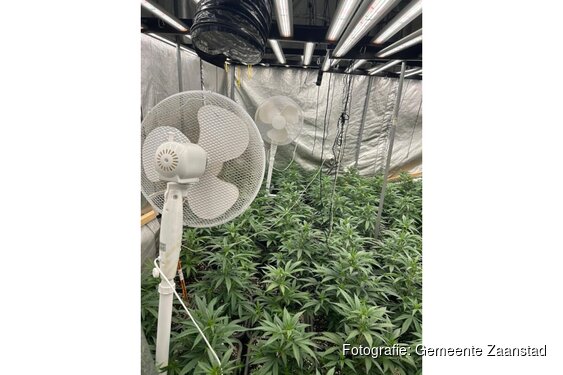 Woning in Zaandam gesloten na aantreffen wietkwekerij