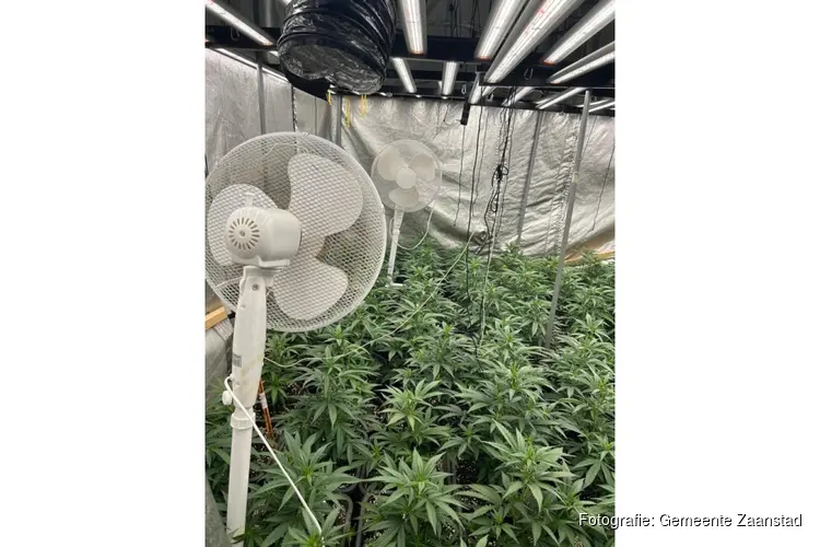 Woning in Zaandam gesloten na aantreffen wietkwekerij
