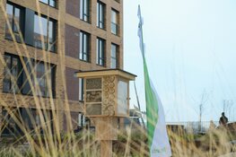 De Zaanse Helden in Zaandam officieel opgeleverd