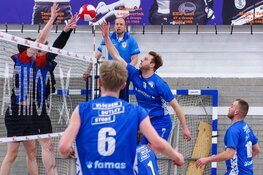 Compaen verdelgt Muggen eindelijk