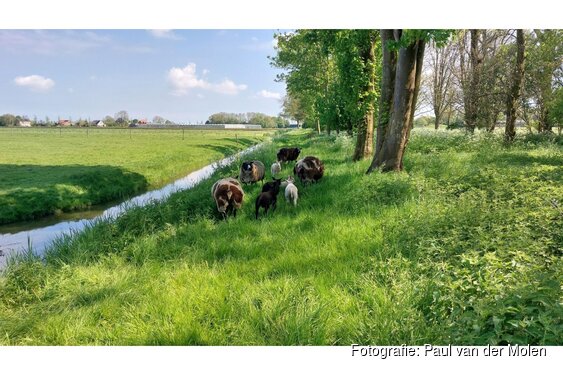 Na fris weekend later in de week iets zachter