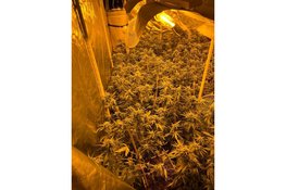 Pandsluiting na vondst hennepkwekerij in Zaandam