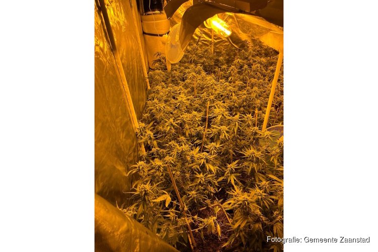 Pandsluiting na vondst hennepkwekerij in Zaandam