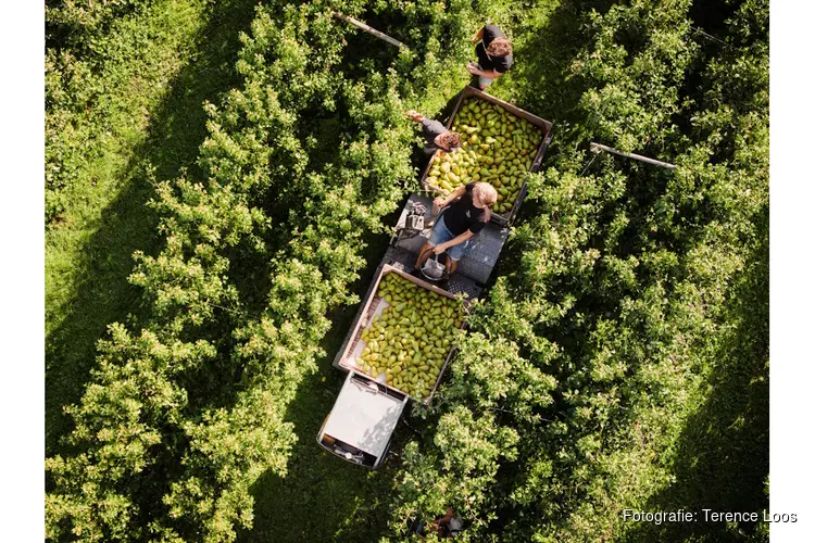 Zaanstreek-Waterland investeert in de toekomst van streekproductenbeleving