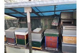 Lezing over bijen, 23 april a.s.