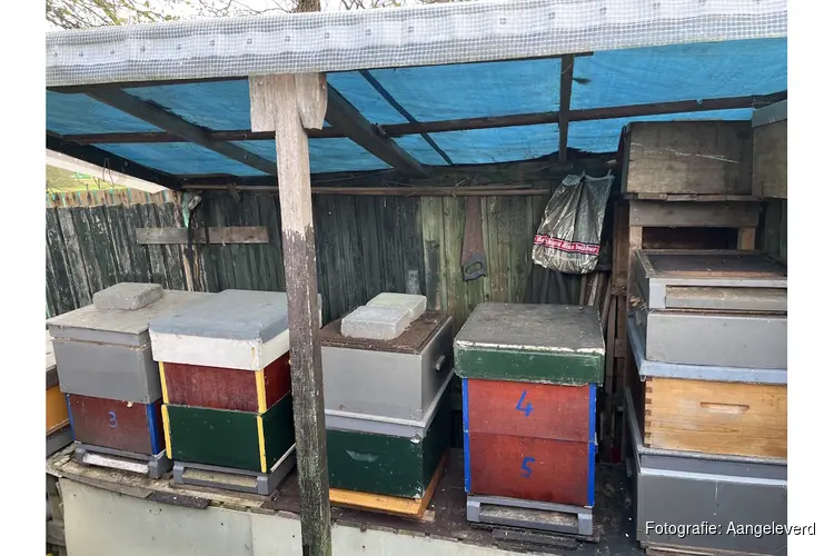 Lezing over bijen, 23 april a.s.