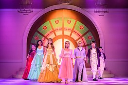 Doornroosje De Musical in het Zaantheater