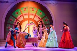 Doornroosje De Musical in het Zaantheater