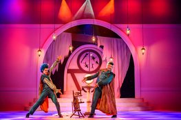 Doornroosje De Musical in het Zaantheater