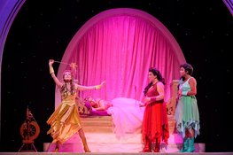 Doornroosje De Musical in het Zaantheater