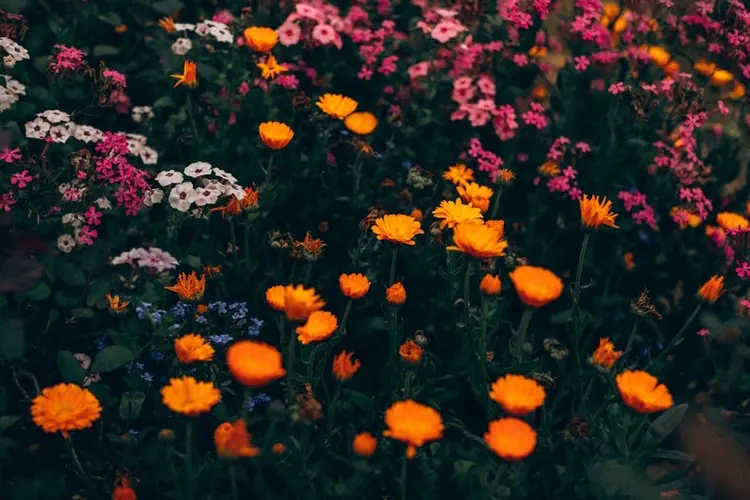 De basis voor een geslaagd tuinproject: slim plannen en materialen kiezen