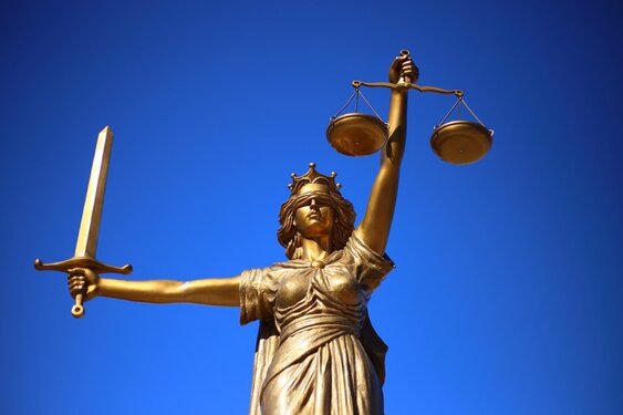 Verdachte die moeder van vrijheid beroofde krijgt verplichte behandeling