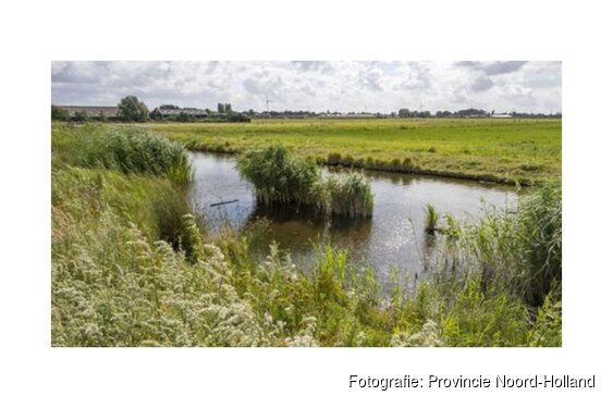 3 miljoen euro extra voor natuurherstel Polder Westzaan