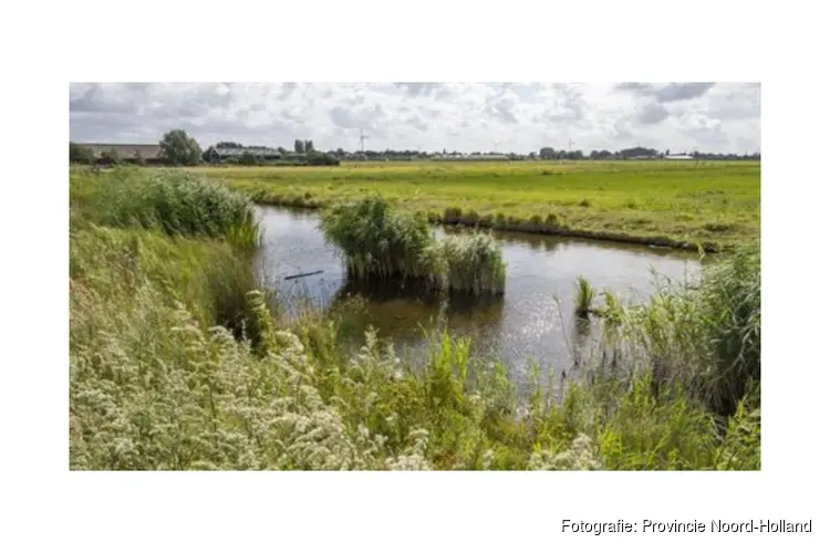 3 miljoen euro extra voor natuurherstel Polder Westzaan
