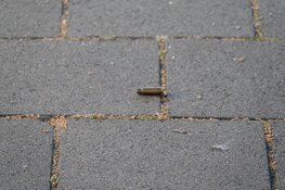 Man aangehouden in Bussum door agenten in kogelwerende vesten na schietpartij in Wormerveer