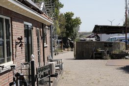 Brandweer redt paard uit sloot in Assendelft