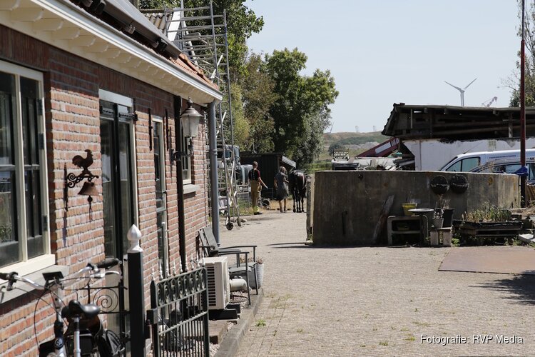 Brandweer redt paard uit sloot in Assendelft