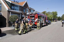 Brandweer redt paard uit sloot in Assendelft