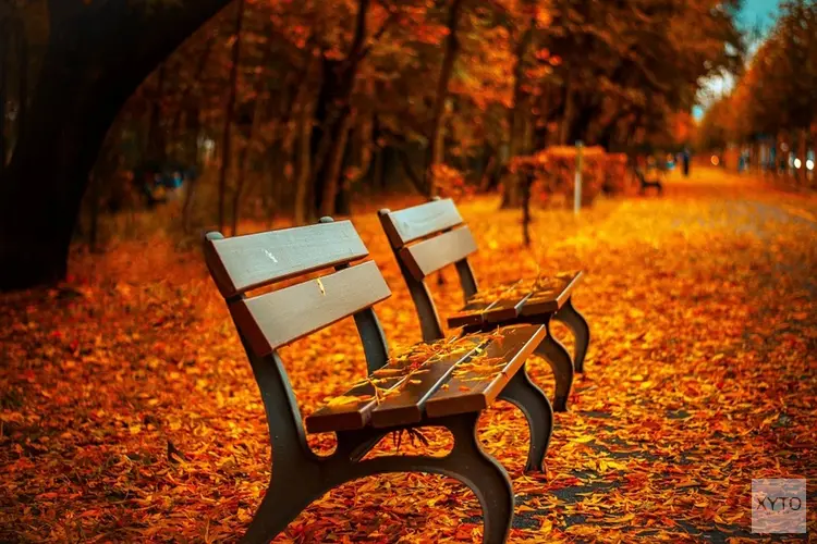 De ‘R’ is weer in de maand: zonnig weekend, daarna opnieuw wisselvallig