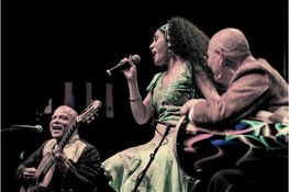 Zaans Cultuur Feest brengt kinderen en ouders samen rond kunst uit verschillende culturen