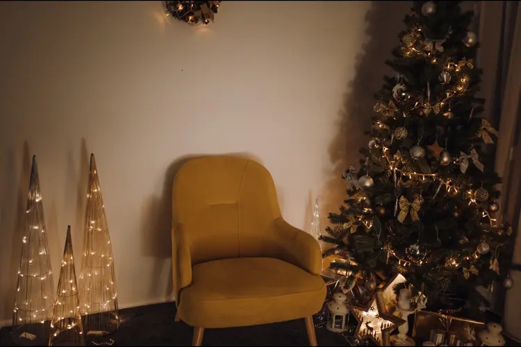 Zaandam maakt zich op voor de feestdagen: zo krijg je extra sfeer in huis en tuin