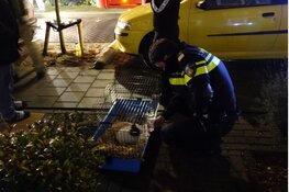Brand in wasdroger in Zaandam