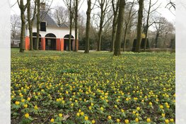 Voorjaarswandelingen op buitenplaats Beeckestijn