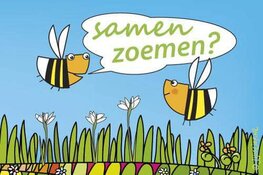 ROSA zet de Zaanse cultuur in bloei!