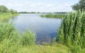 Pas op voor glas bij Jagersplas: "Ik zag allemaal bloed onder mijn voeten"