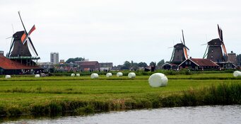 'Overstekende toeristen zorgen voor gevaarlijke situaties op fietspad Zaanse Schans'
