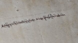 Lekkages en vallend beton bij de Coenbrug: "Heel gevaarlijk"